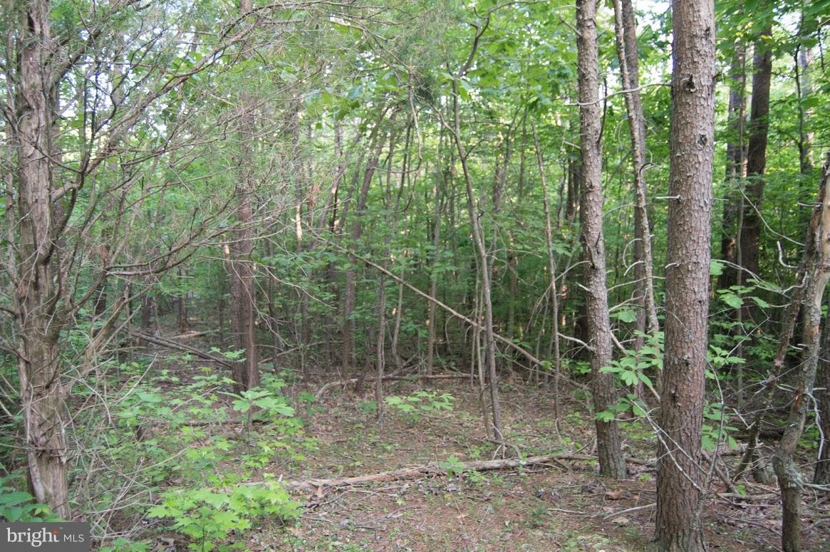 Grogan Lane King George, VA 22485 - Photo 22 of 27 Lot 65A