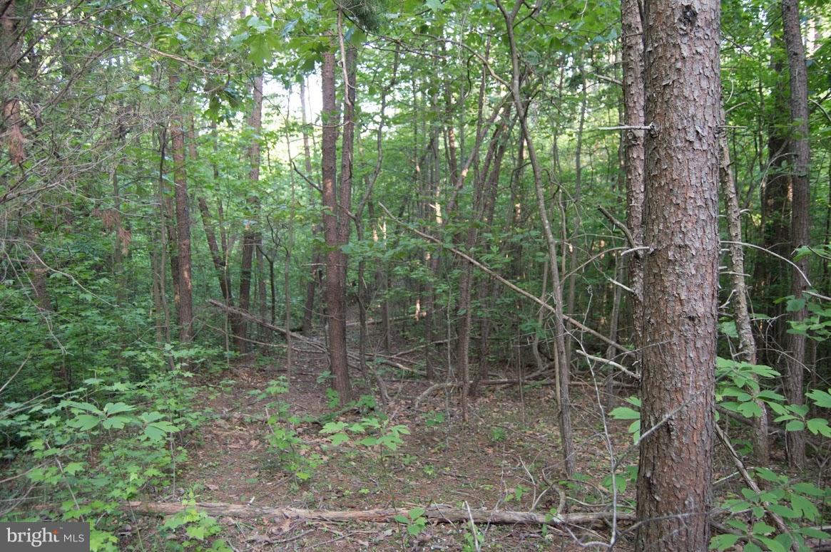 Grogan Lane King George, VA 22485 - Photo 23 of 27 Lot 65A