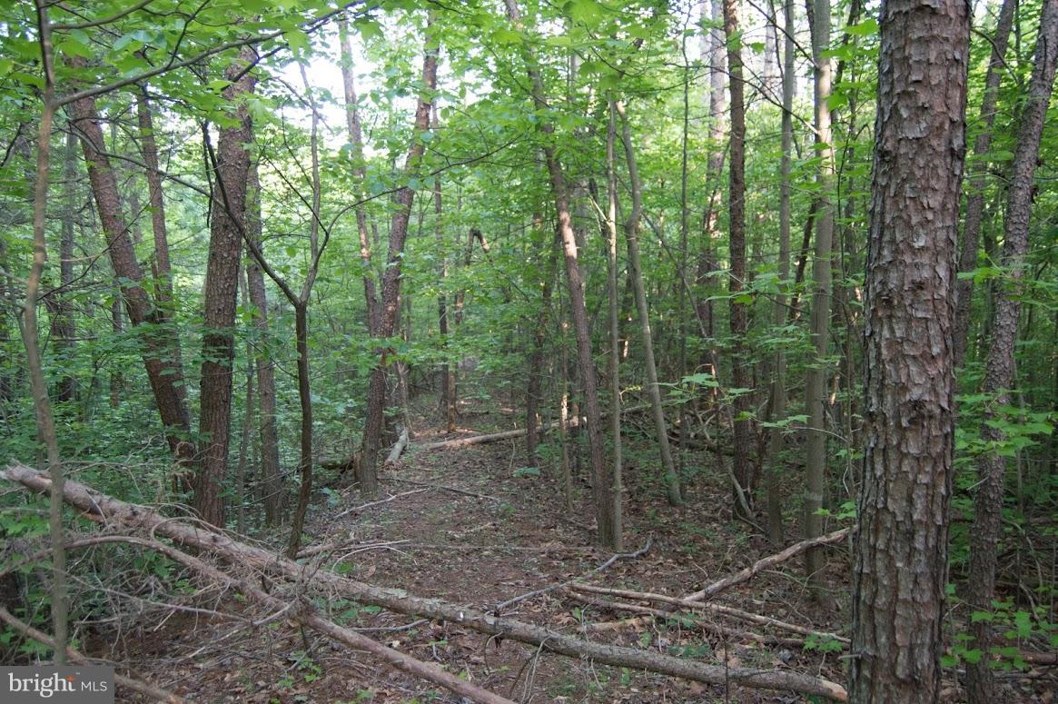 Grogan Lane King George, VA 22485 - Photo 24 of 27 Lot 65A