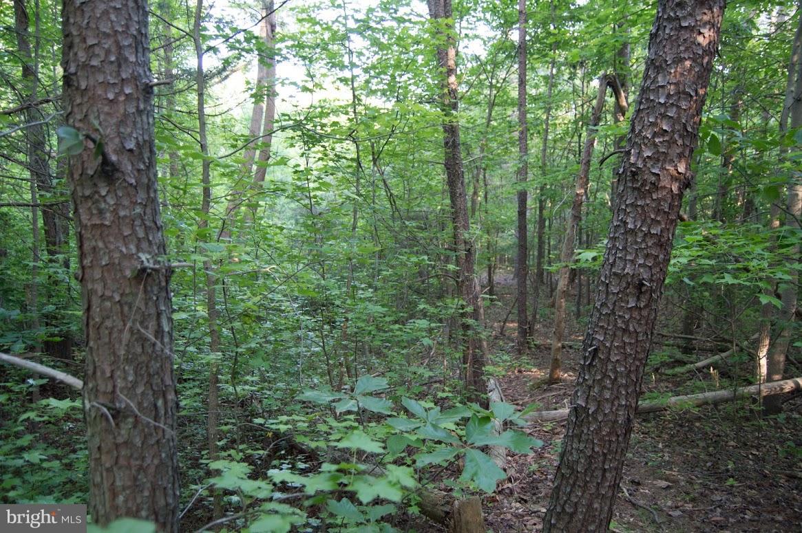 Grogan Lane King George, VA 22485 - Photo 25 of 27 Lot 65A