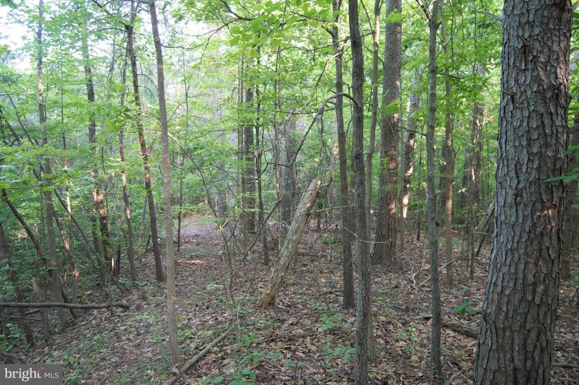 Grogan Lane King George, VA 22485 - Photo 26 of 27 Lot 65A
