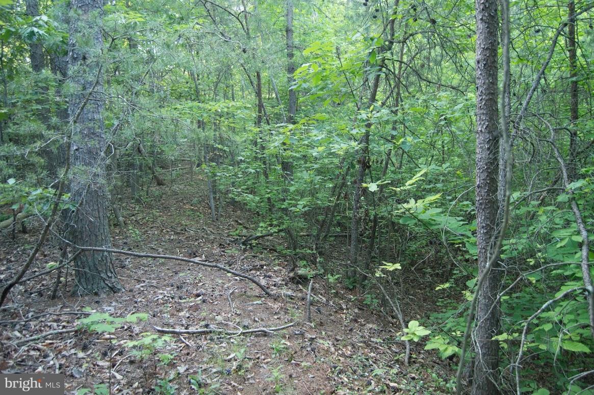 Grogan Lane King George, VA 22485 - Photo 27 of 27 Lot 65A