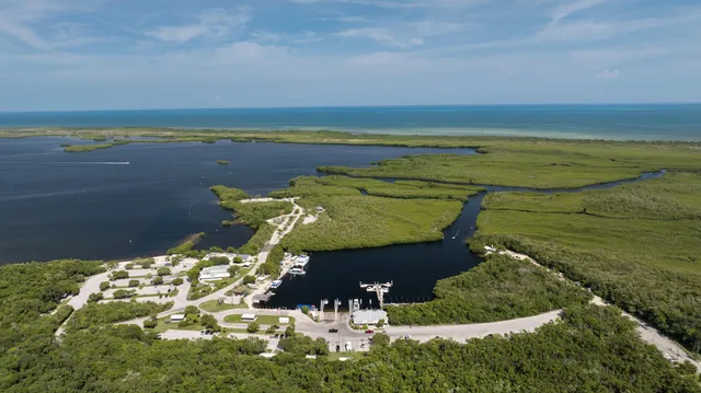 an aerial view of a house with a lake view