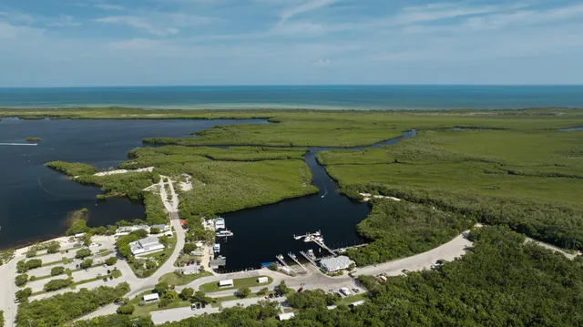 an aerial view of residential house with outdoor space
