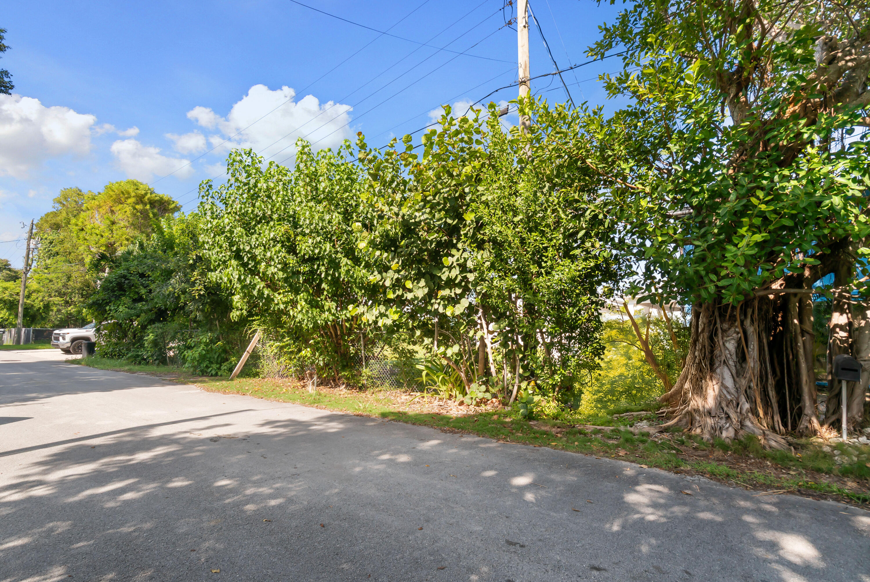 974 Oleander Road Key Largo, FL 33037 - Photo 15 of 15 a view of a yard with a tree