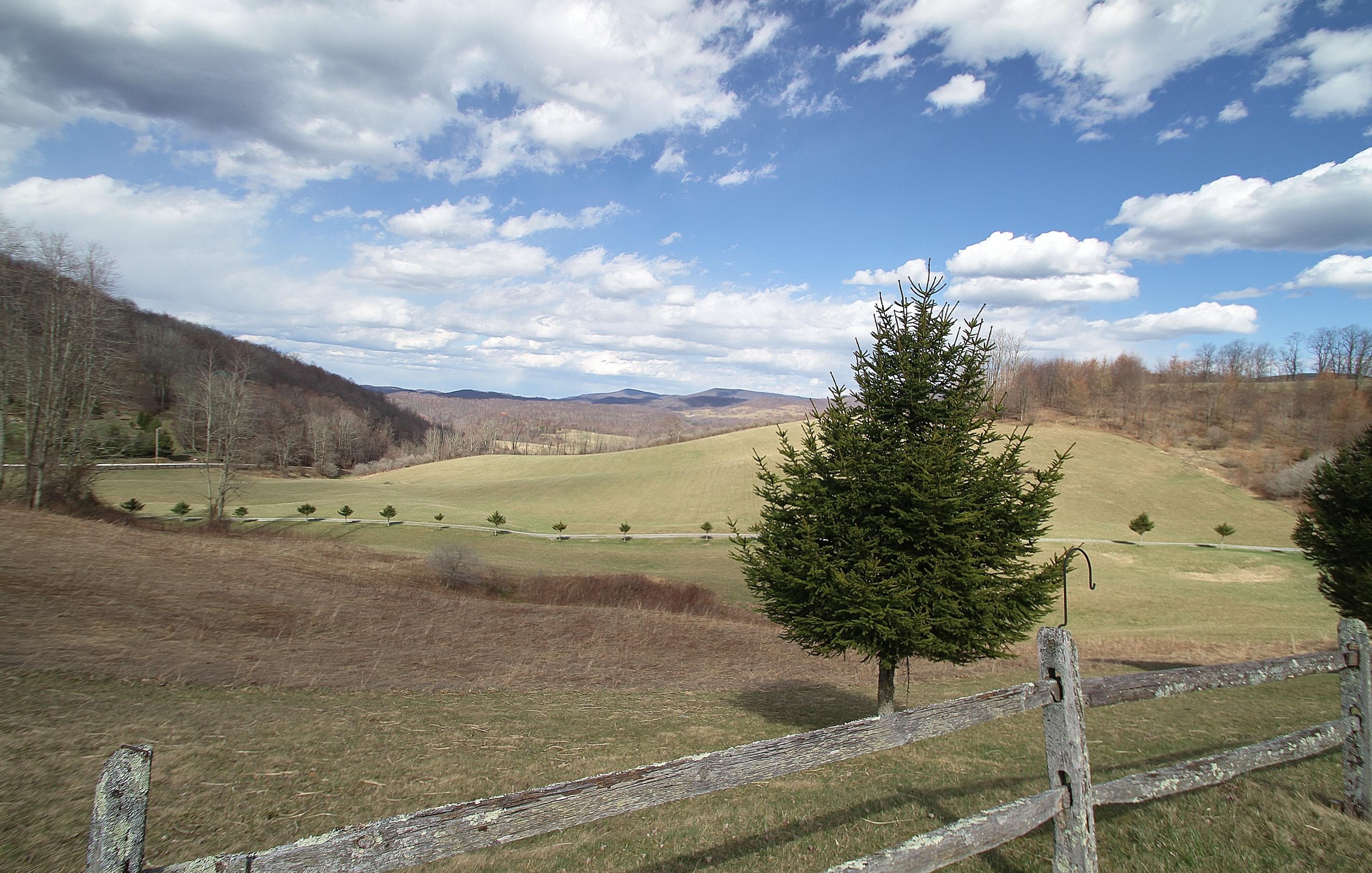 9102 Dry Branch Road Valley Head, WV 26294 - Photo 62 of 83 Gallery Image 62