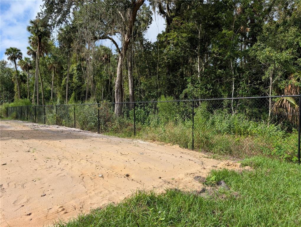 3151 Rooks Road Davenport, FL 33837 - Photo 36 of 96