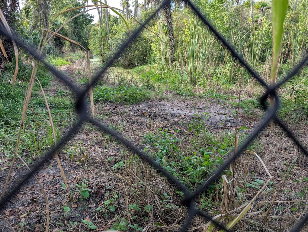 3151 Rooks Road Davenport, FL 33837 - Photo 93 of 96