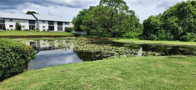 a view of a house with backyard porch and sitting area