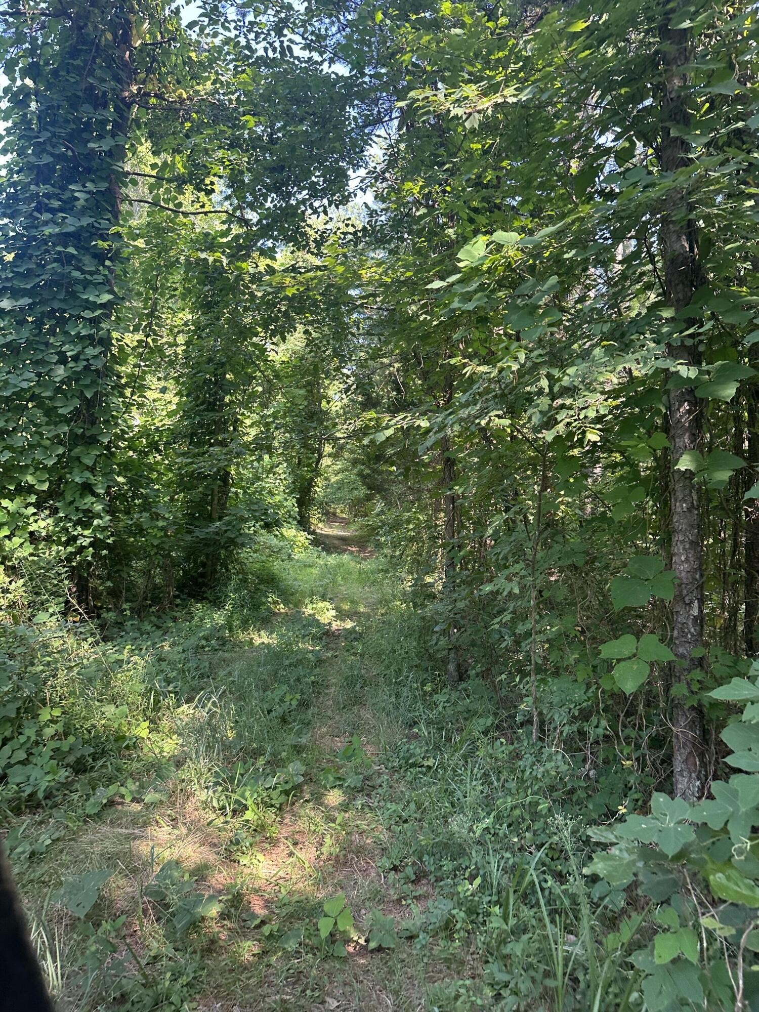 0 Leiderman Road Trenton, GA 30752 - Photo 38 of 50