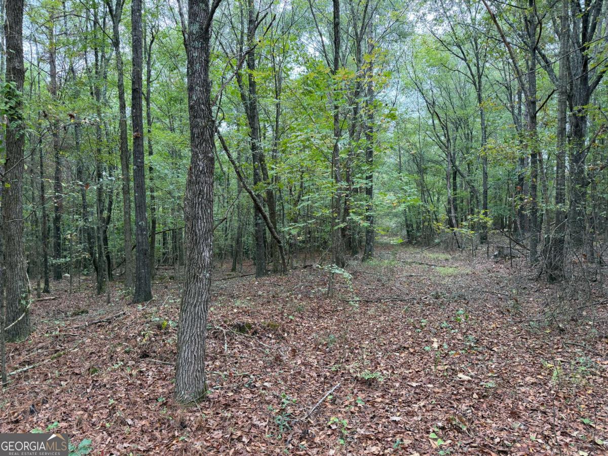 0 Colquitt Road Cedartown, GA 30125 - Photo 1 of 1 Gallery Image 1