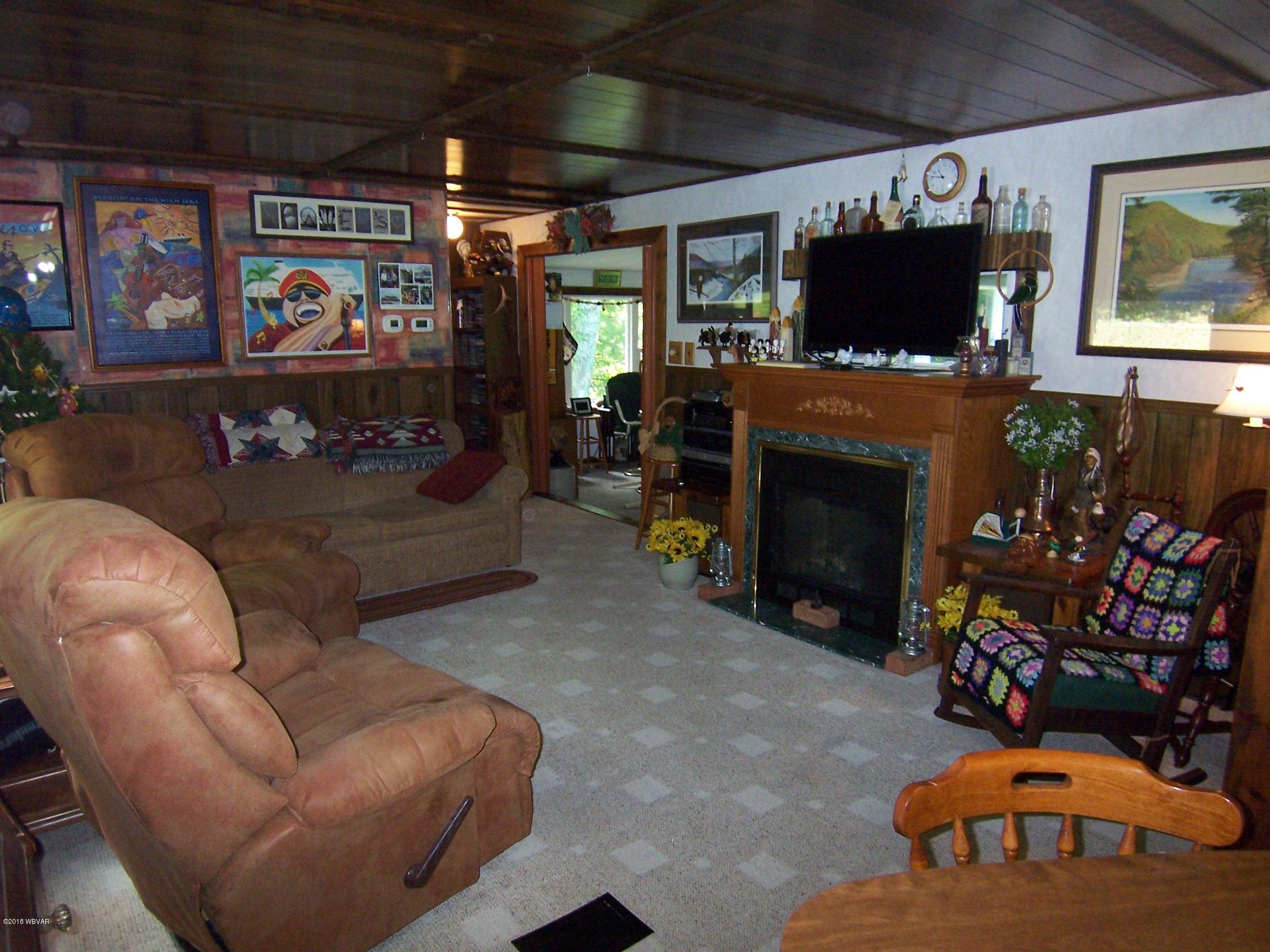 133 Harvey Road Williamsport, PA 17701 - Photo 17 of 48 Living Room with Fireplace