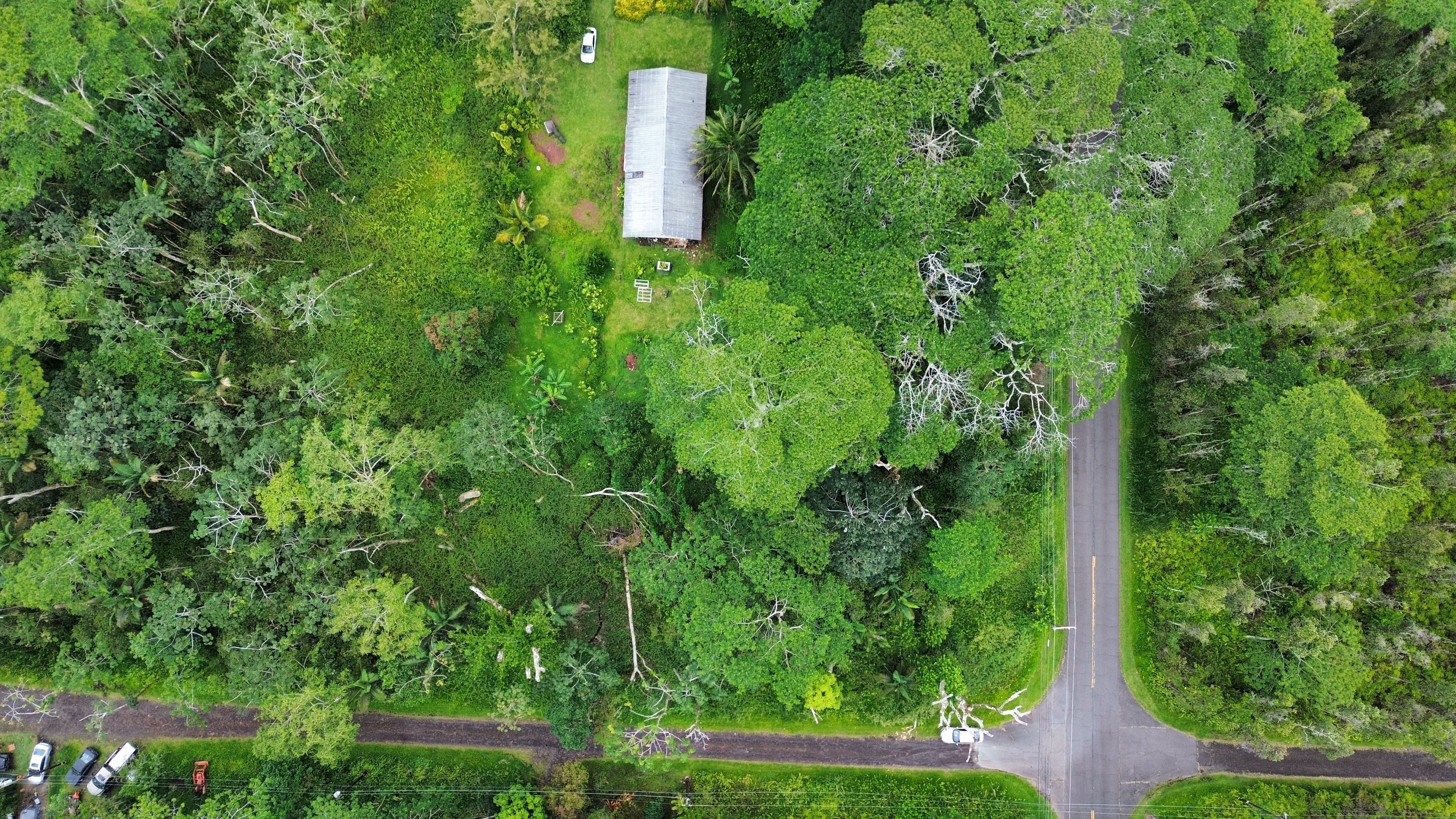 600 Molokai Road Pahoa, HI 96778 - Photo 3 of 3