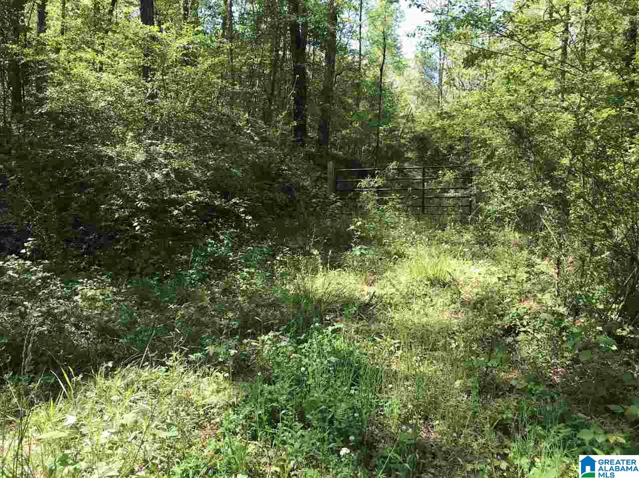0 Acton Road, Unit 45 ACRE Moody, AL 35004 - Photo 3 of 12