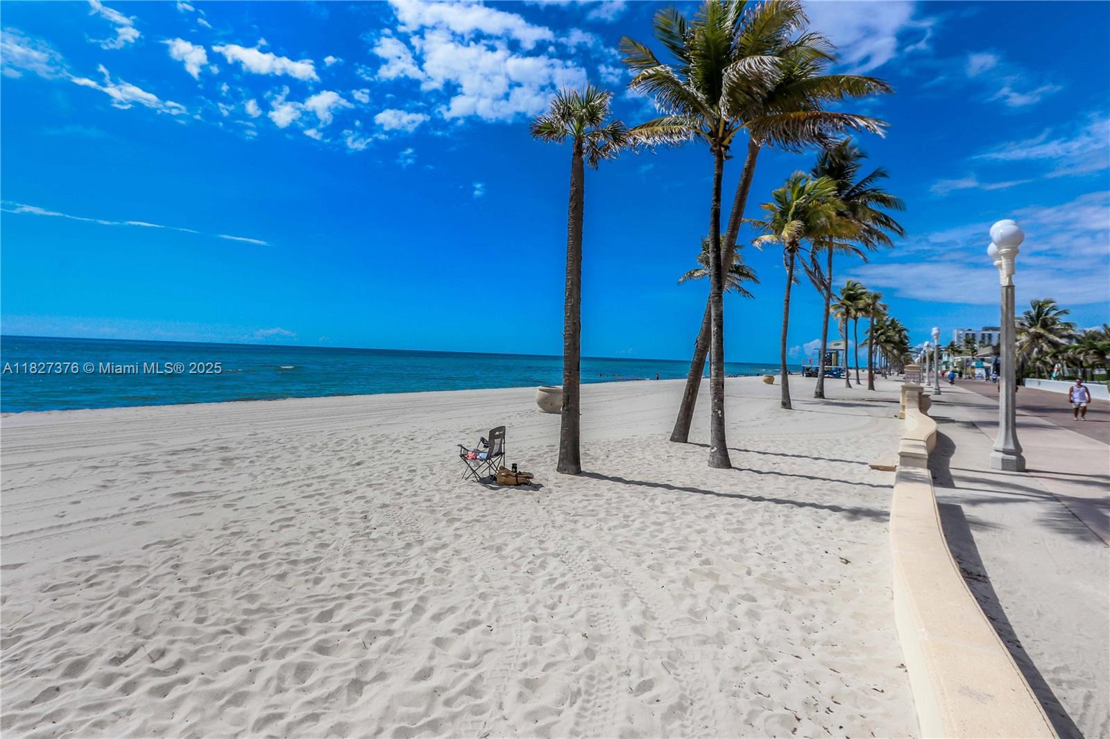 3300 North Surf Road, Unit 3A Hollywood, FL 33019 - Photo 30 of 39 a view of a backyard