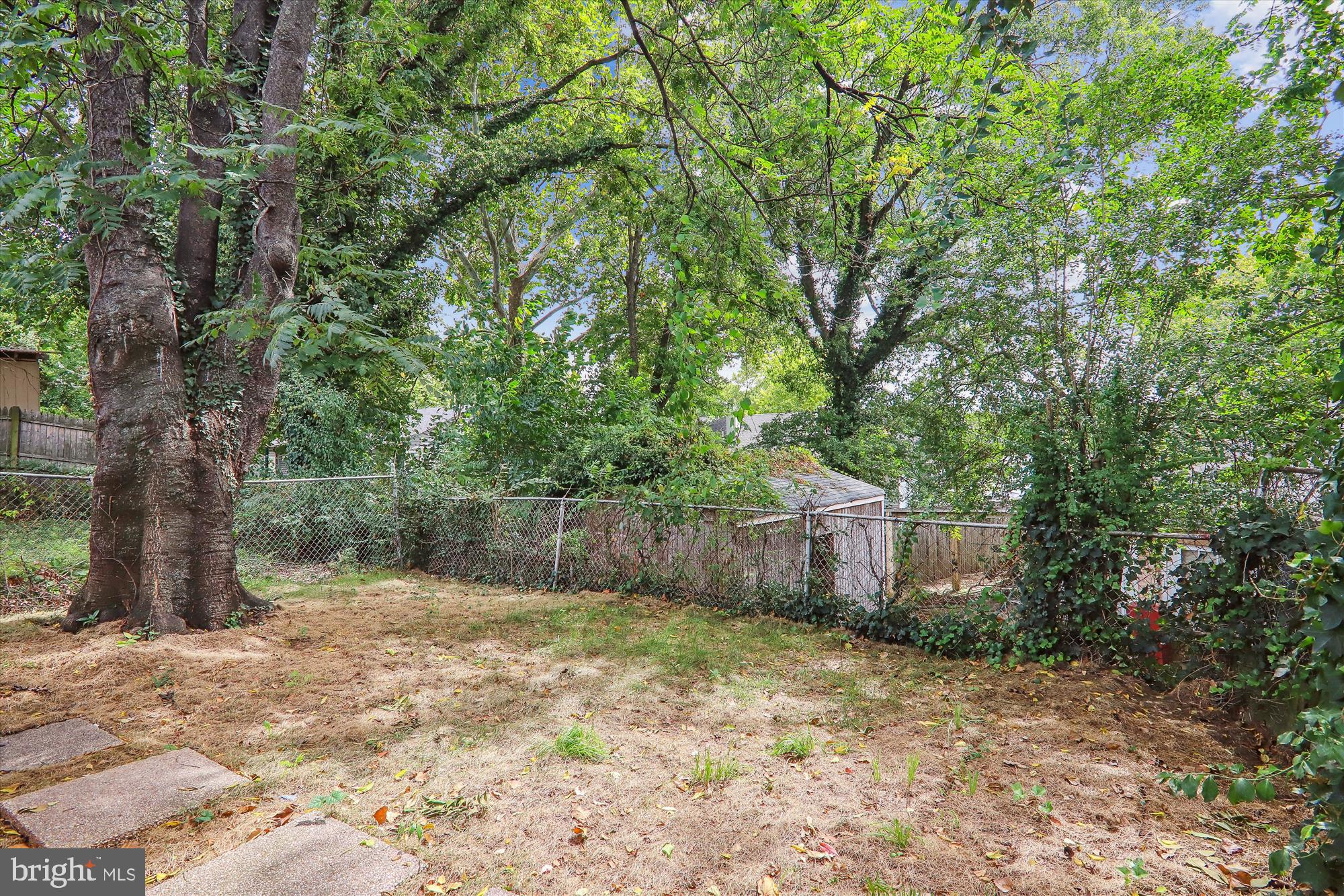 7717 Oxman Road Landover, MD 20785 - Photo 5 of 38 Back Yard