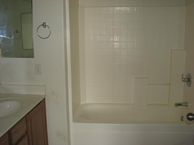 53546 West Moon Dust Road Maricopa, AZ 85139 - Photo 5 of 9 Master Bath