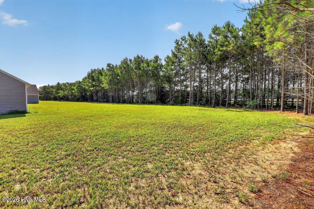 287 Windswept Way Roper, NC 27970 - Photo 7 of 27