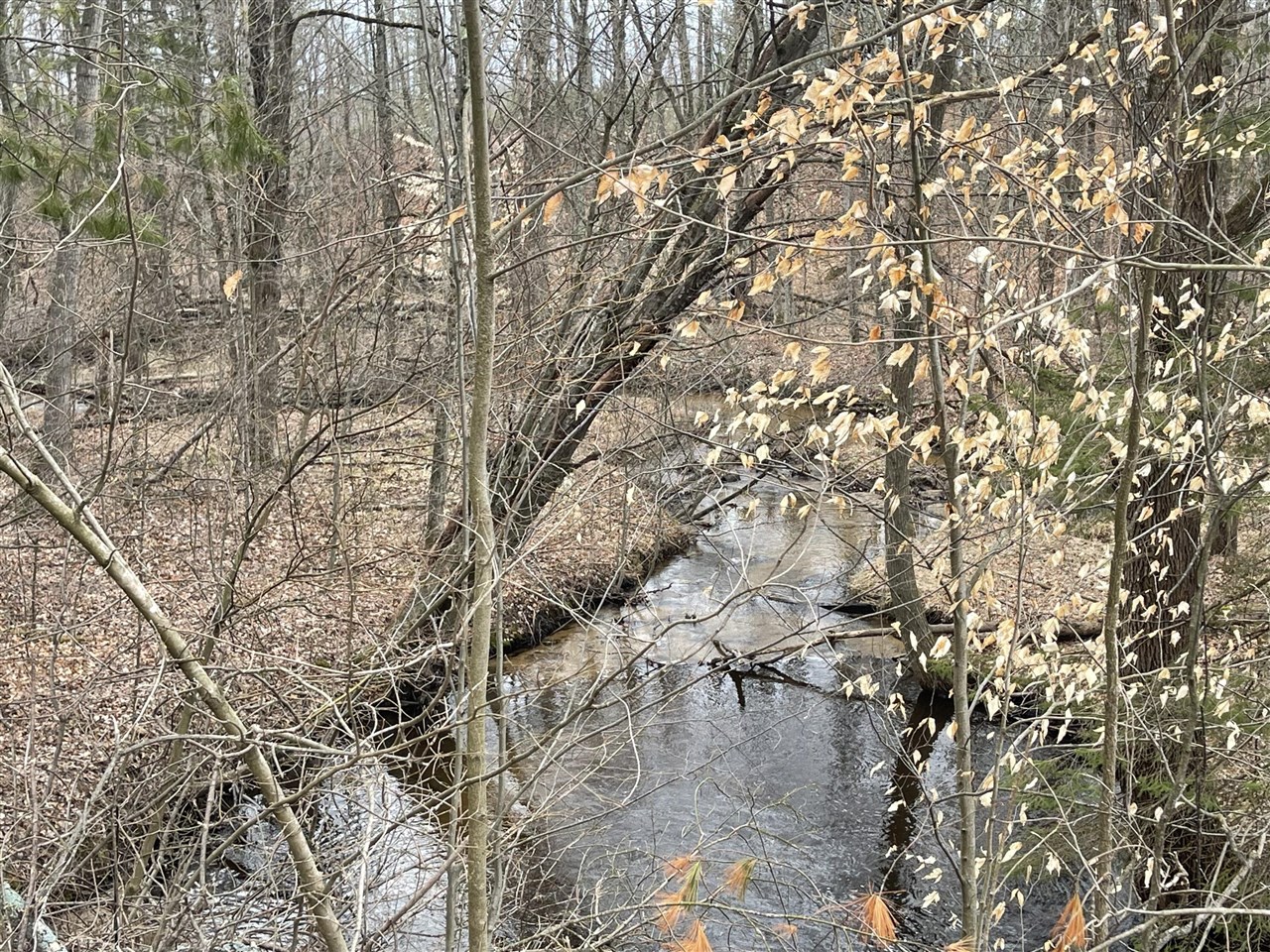 Eight Mile Road Kaleva, MI 49645 - Photo 9 of 14