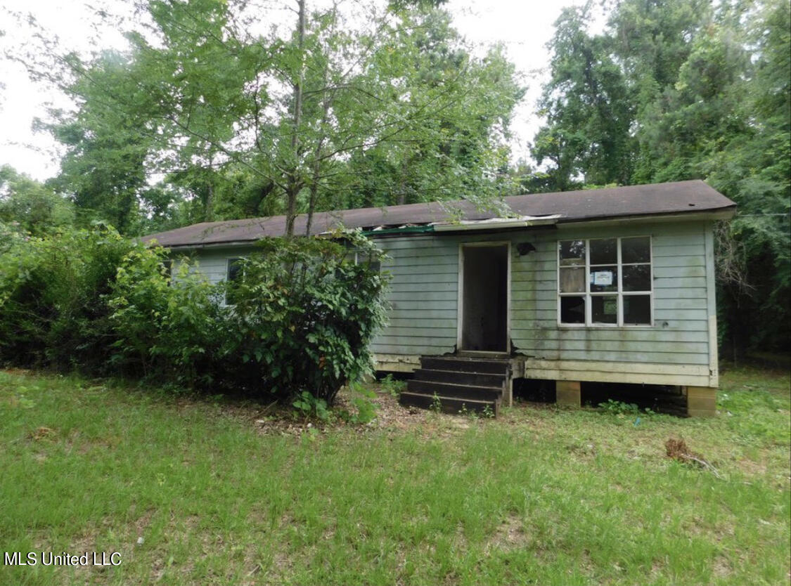 254 Ross McPhail Road Carson, MS 39427 - Photo 1 of 1 front elevation
