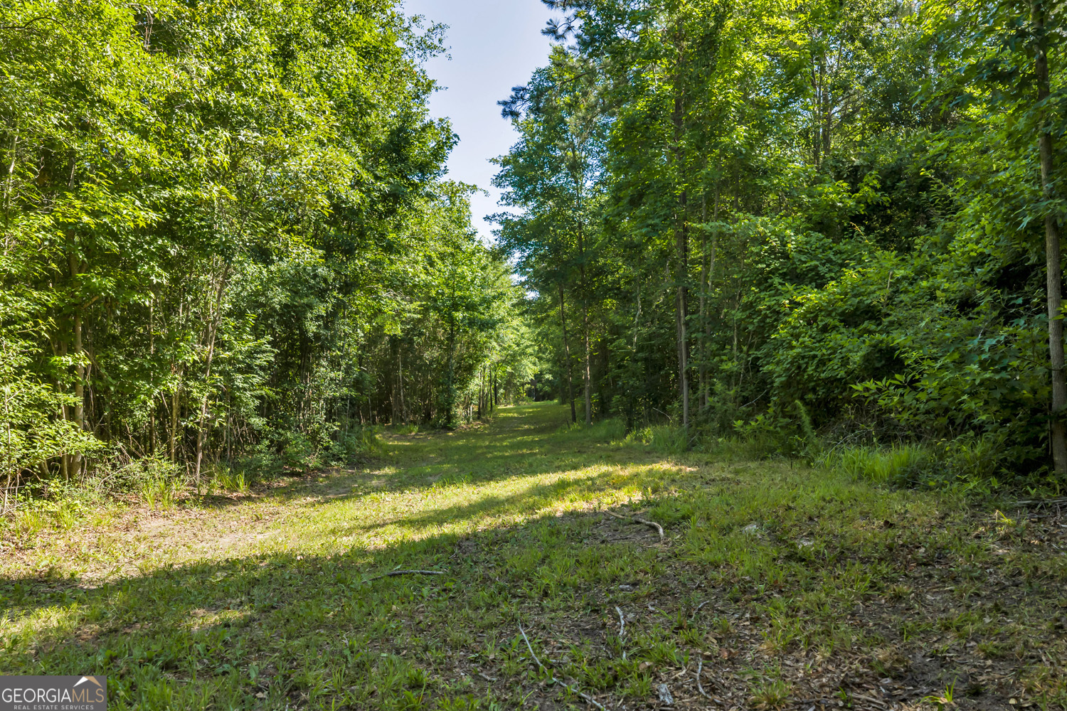 651 Branan Road Toomsboro, GA 31090 - Photo 47 of 53