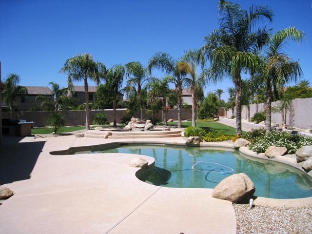 989 South Roles Drive Gilbert, AZ 85296 - Photo 6 of 6 Pool 2