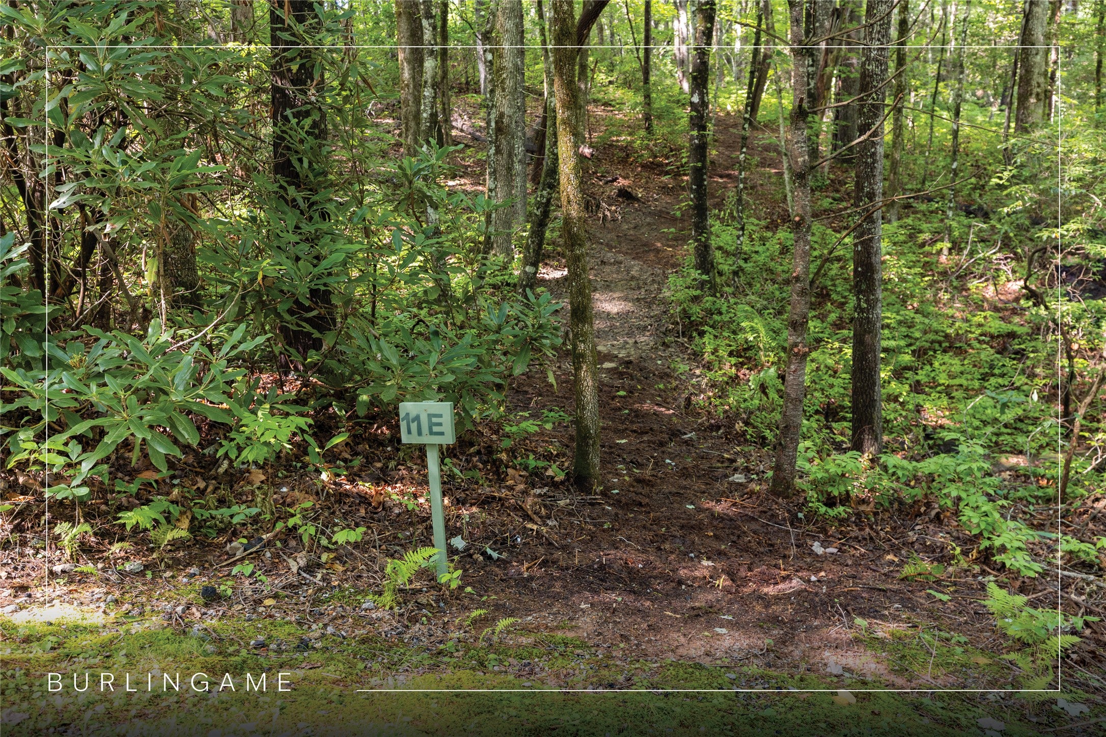 11-er Beaver Dam Road Sapphire, NC 28774 - Photo 2 of 45 Gallery Image 2