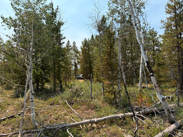 4913 Pinecrest Road Evanston, UT 82930 - Photo 11 of 11 Wooded property featuring mature trees and natural ground cover