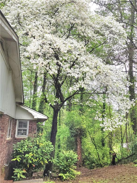 1256 East Piedmont Road Marietta, GA 30062 - Photo 4 of 22