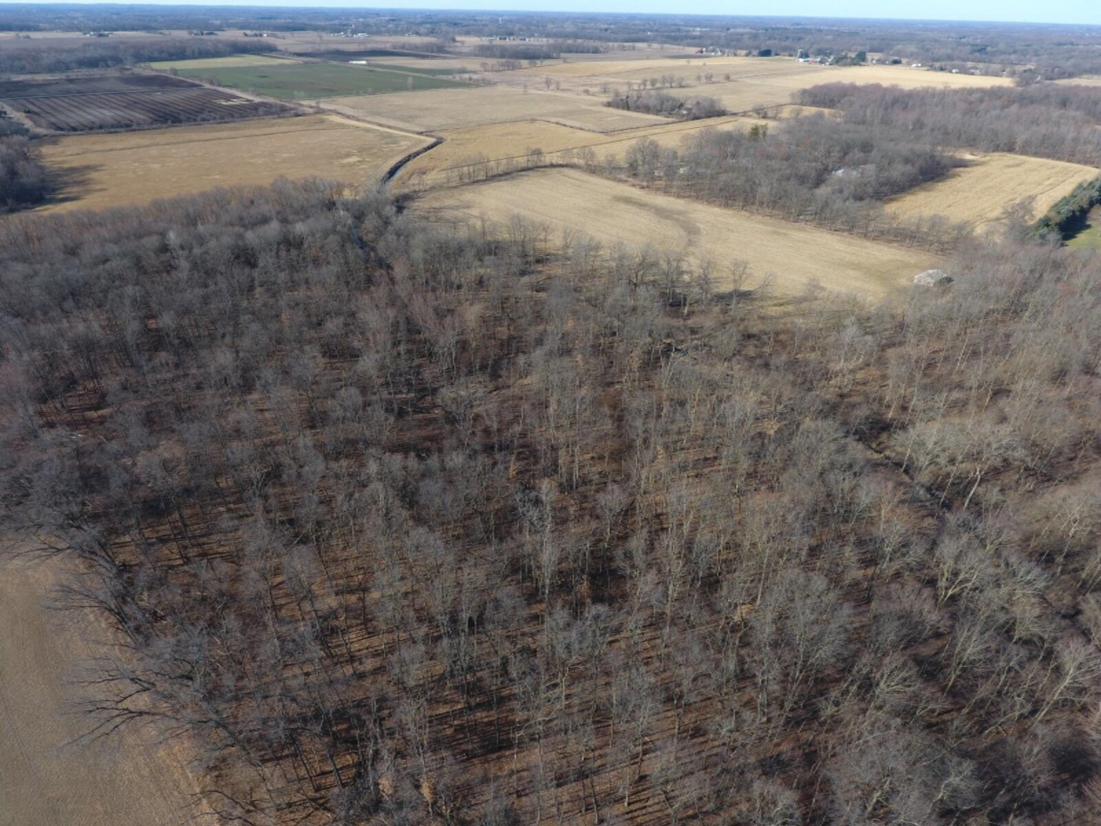 17117 South Kane Road Stockbridge, MI 49285 - Photo 8 of 12 DJI_0007