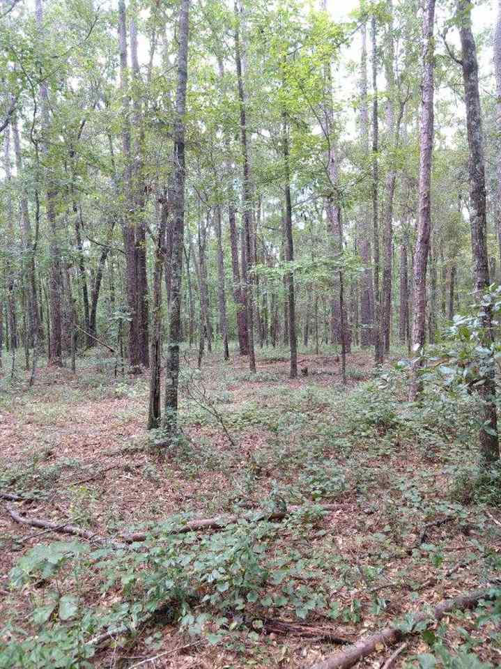 Xx Xx Gamble Road Monticello, FL 32344 - Photo 2 of 2 Gallery Image 2