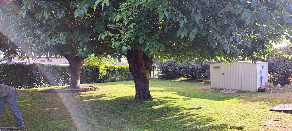 281 North Pine Street Pixley, CA 93256 - Photo 2 of 14 a view of a yard with palm trees