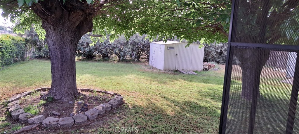 281 North Pine Street Pixley, CA 93256 - Photo 6 of 14 a view of a yard with a tree