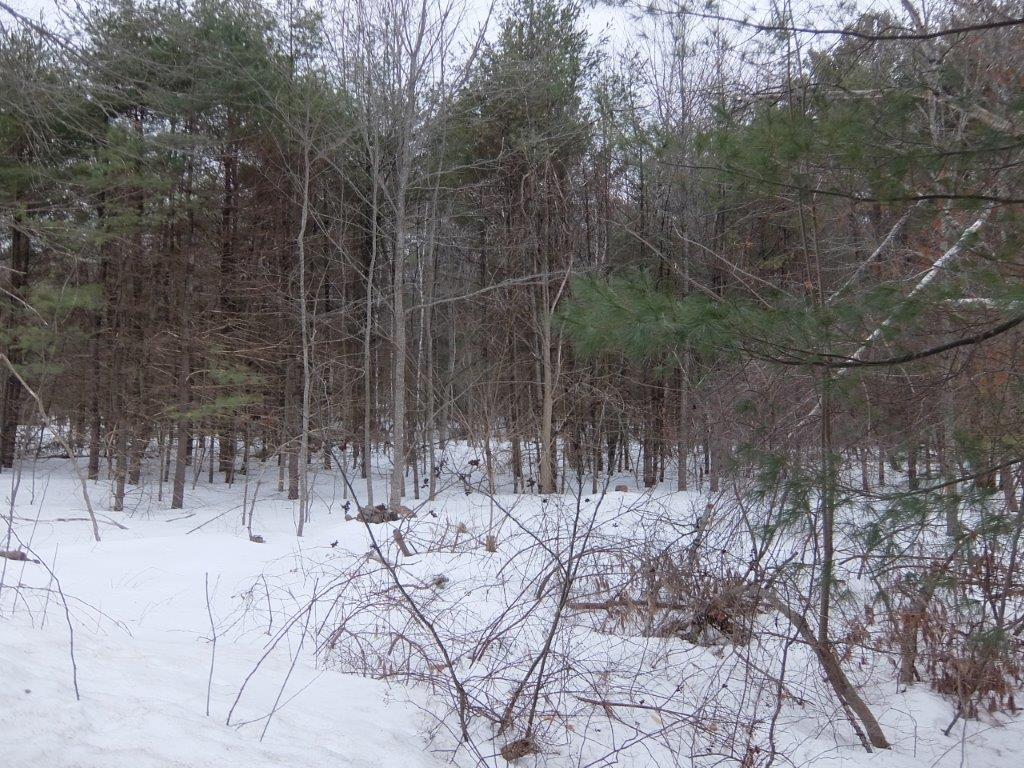 0 Pound Hill Road Cornish, ME 04020 - Photo 9 of 15 DSCF7926