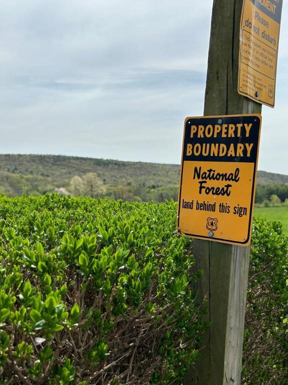 4944 County Road 4 Hector, NY 14818 - Photo 41 of 43