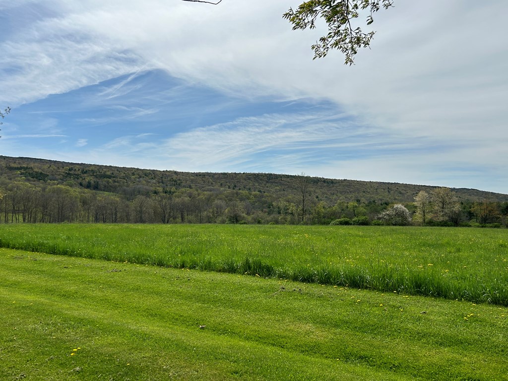 4944 County Road 4 Hector, NY 14818 - Photo 42 of 43