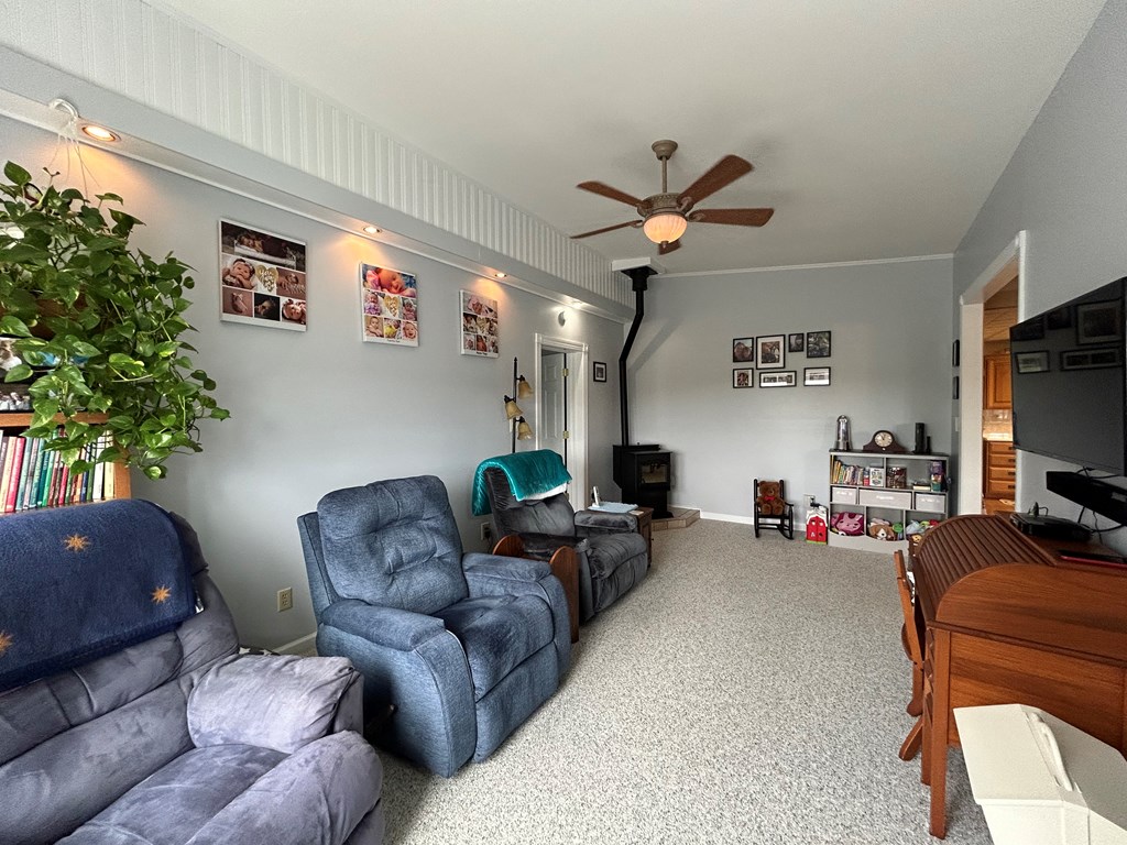 4944 County Road 4 Hector, NY 14818 - Photo 10 of 43