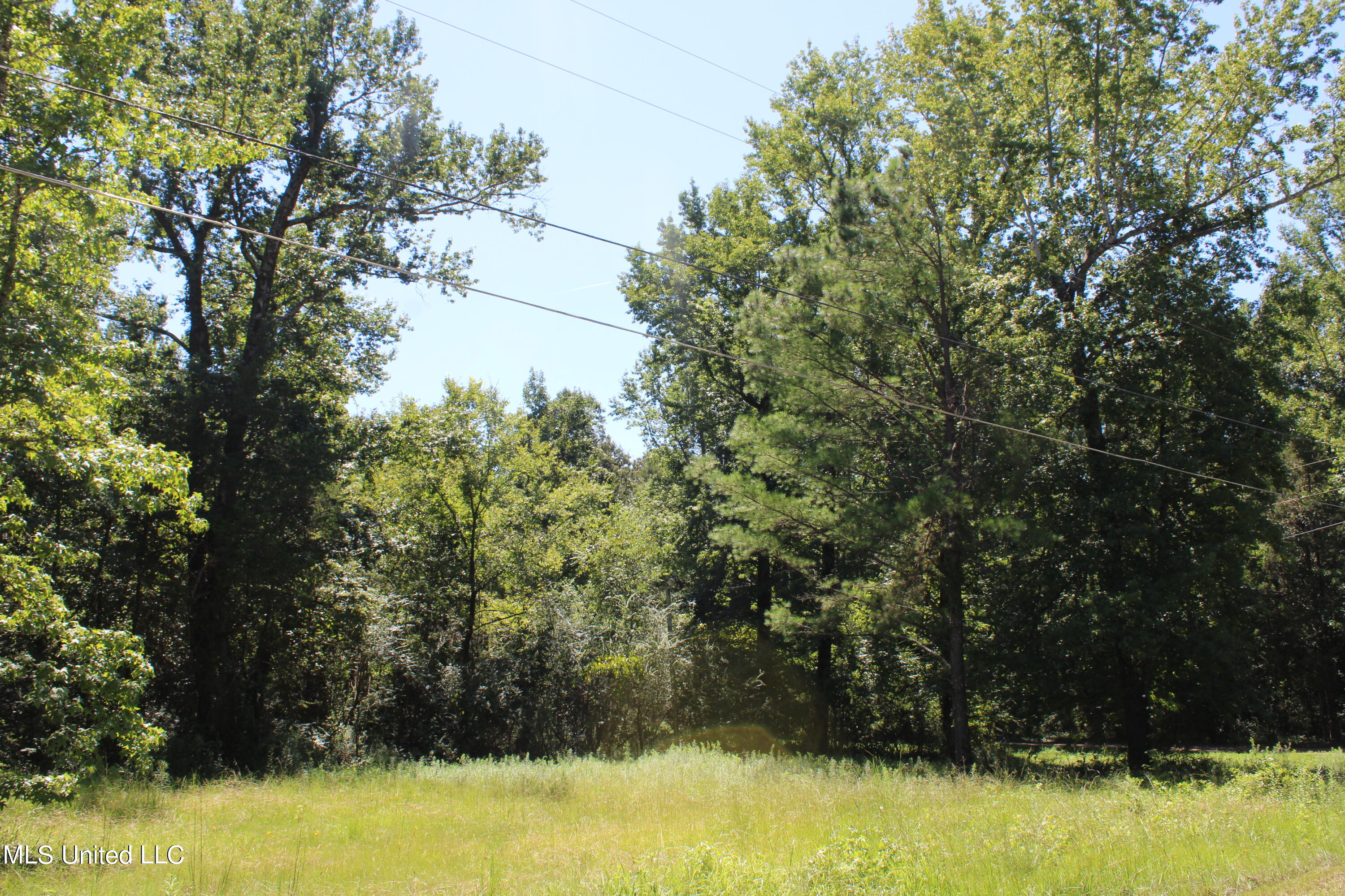 191 Brown Hills Road Byhalia, MS 38611 - Photo 1 of 6 land