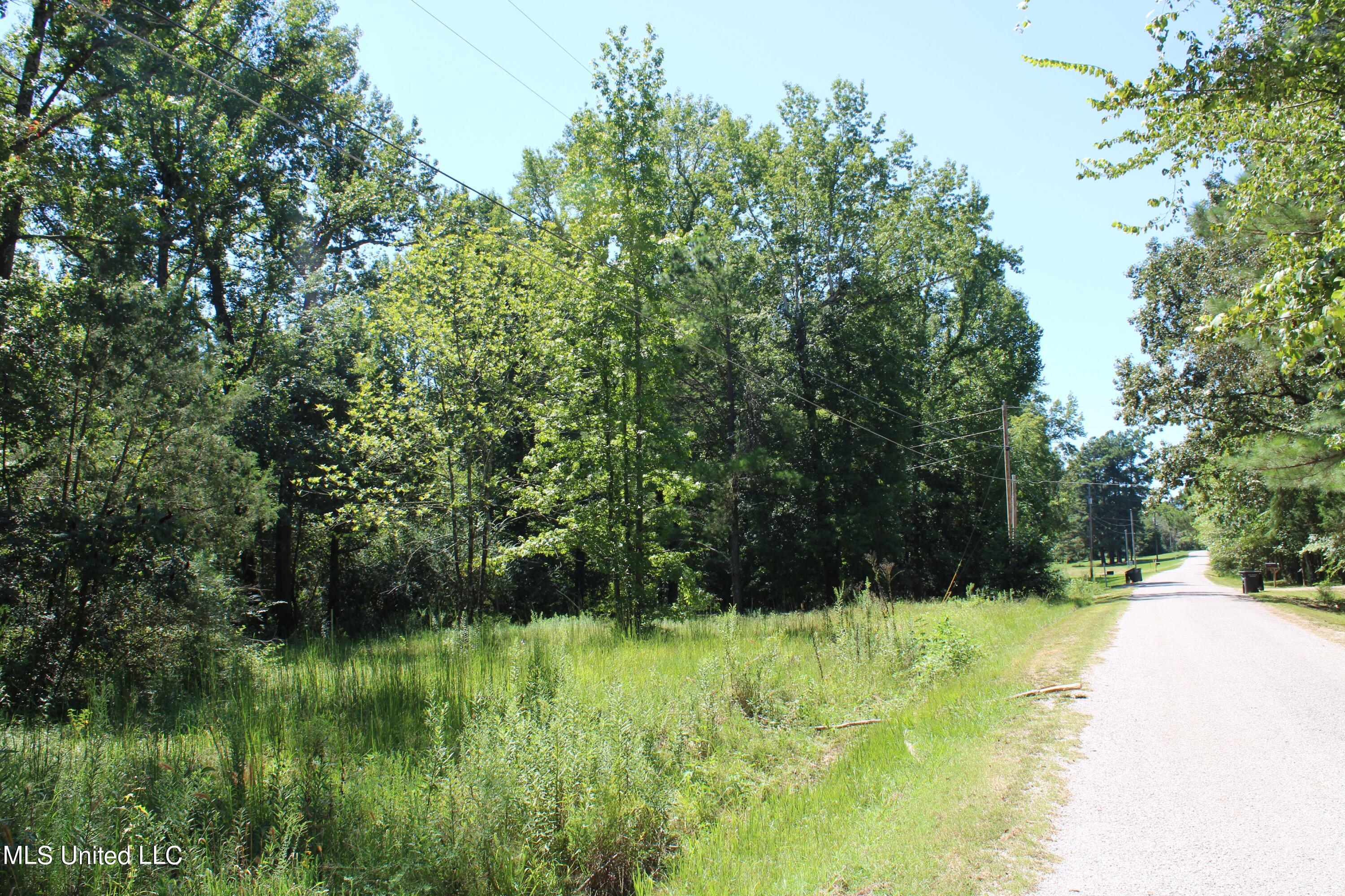 191 Brown Hills Road Byhalia, MS 38611 - Photo 2 of 6 IMG_2128