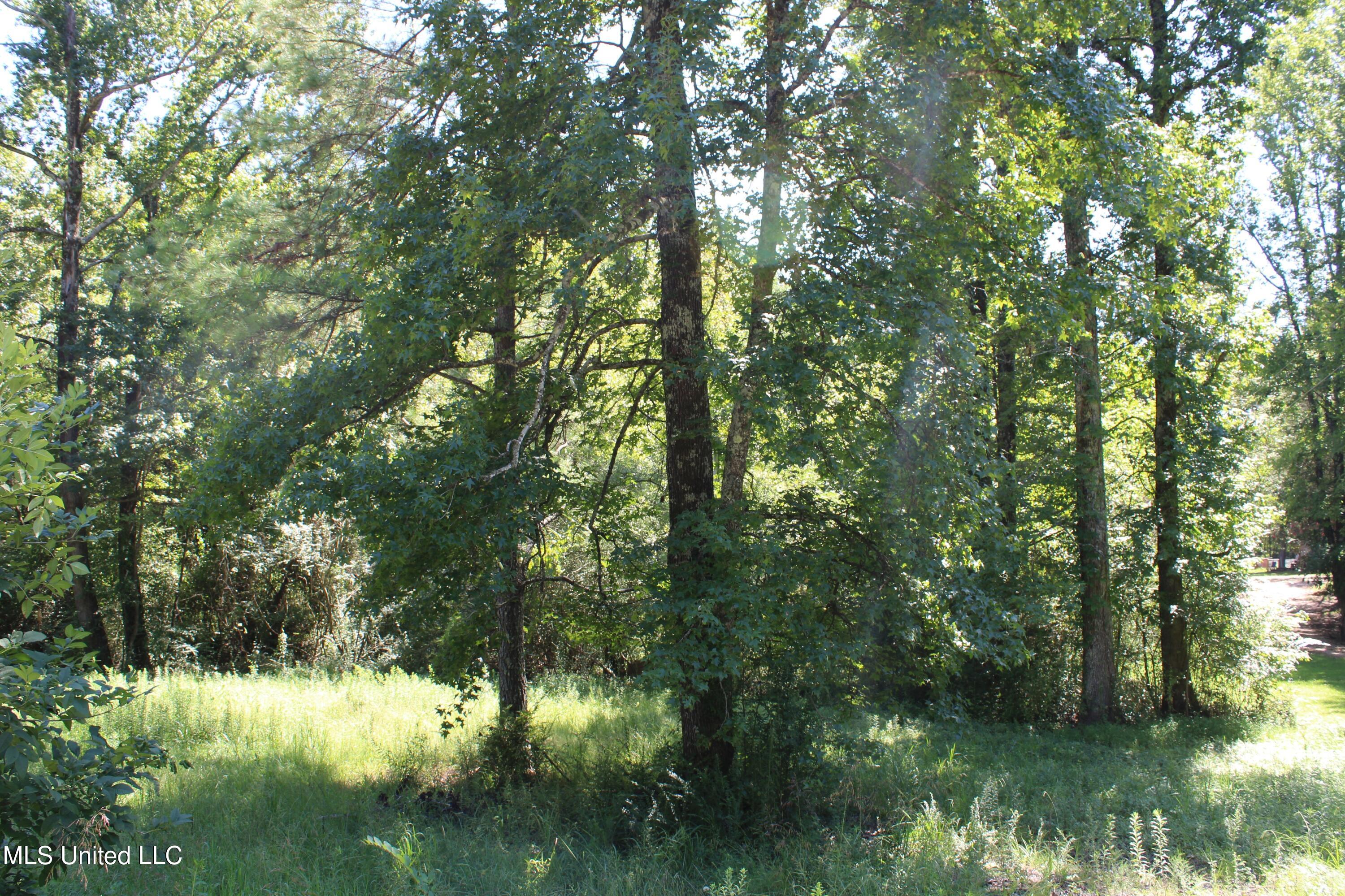 191 Brown Hills Road Byhalia, MS 38611 - Photo 4 of 6 IMG_2131