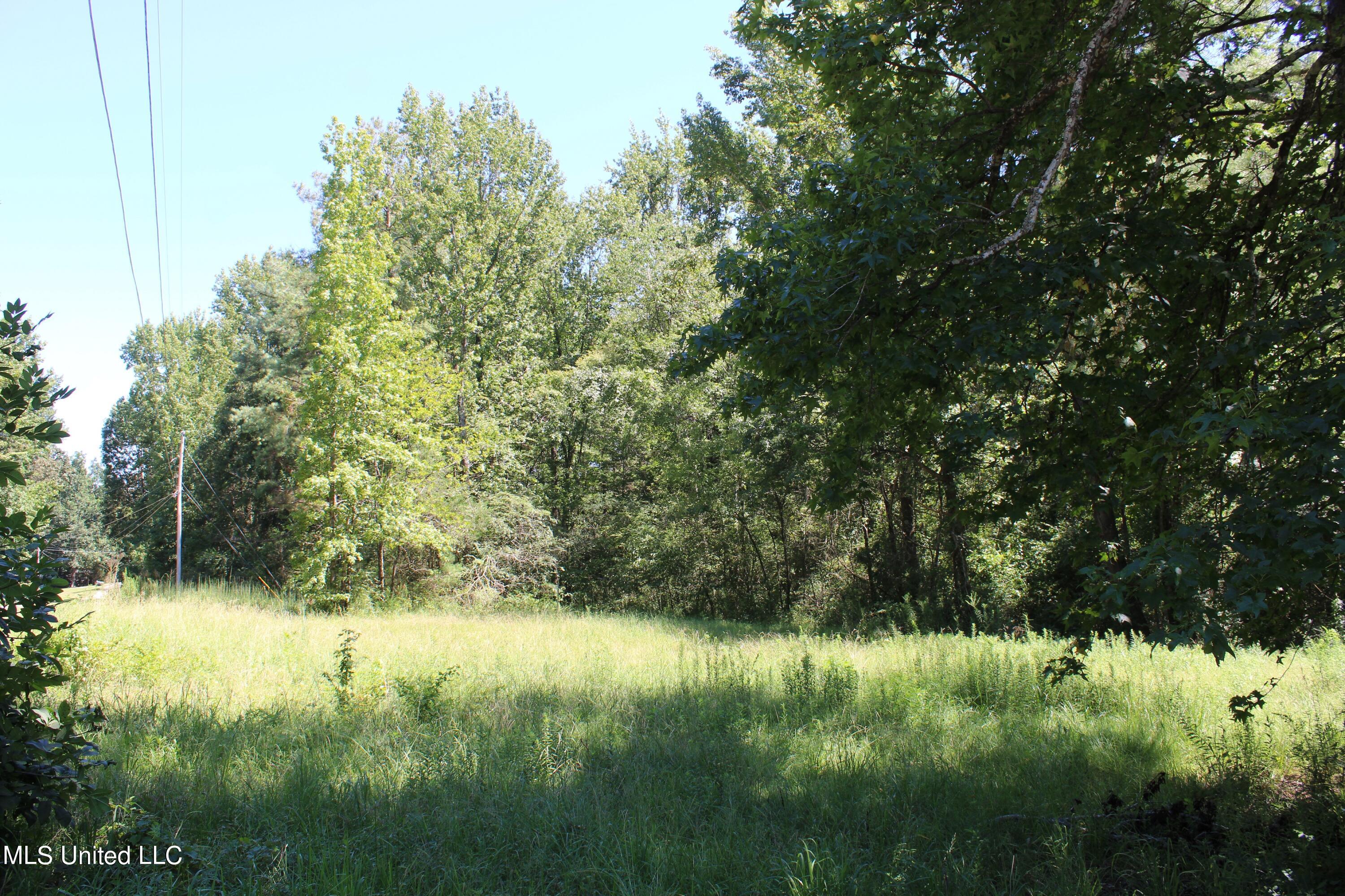 191 Brown Hills Road Byhalia, MS 38611 - Photo 6 of 6 IMG_2133