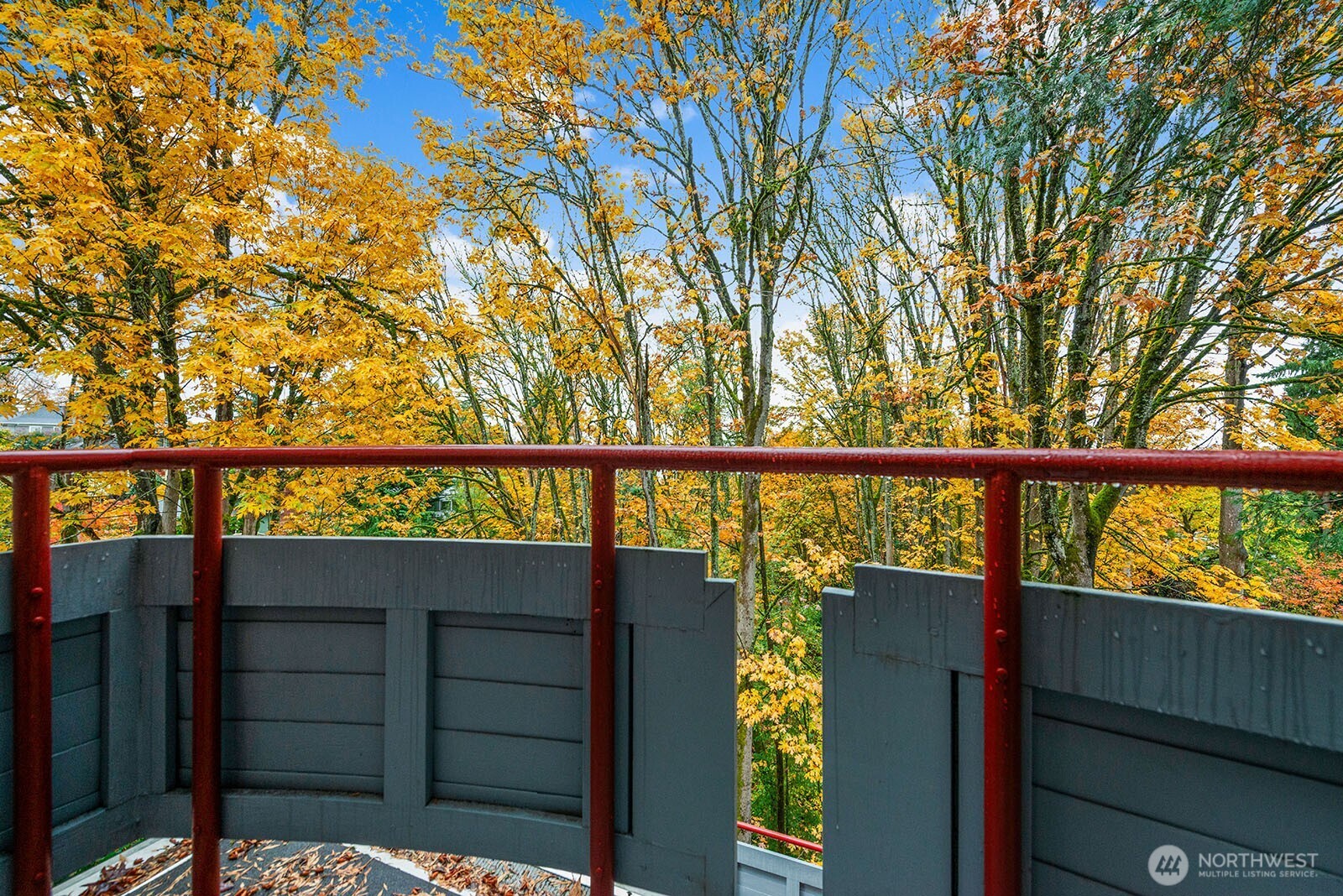 930 37th Avenue Seattle, WA 98122 - Photo 20 of 39