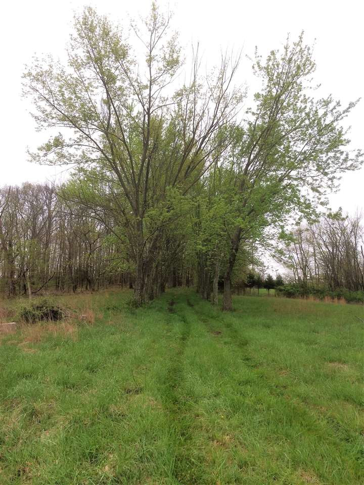 5705 Warsaw Road Dry Ridge, KY 41035 - Photo 16 of 25