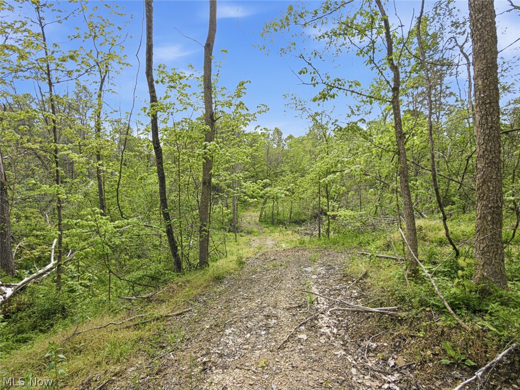 69-acres Newlon Road Malta, OH 43758 - Photo 14 of 20