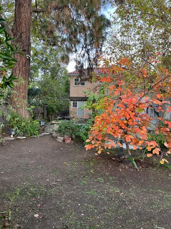 a garden view with a sitting space