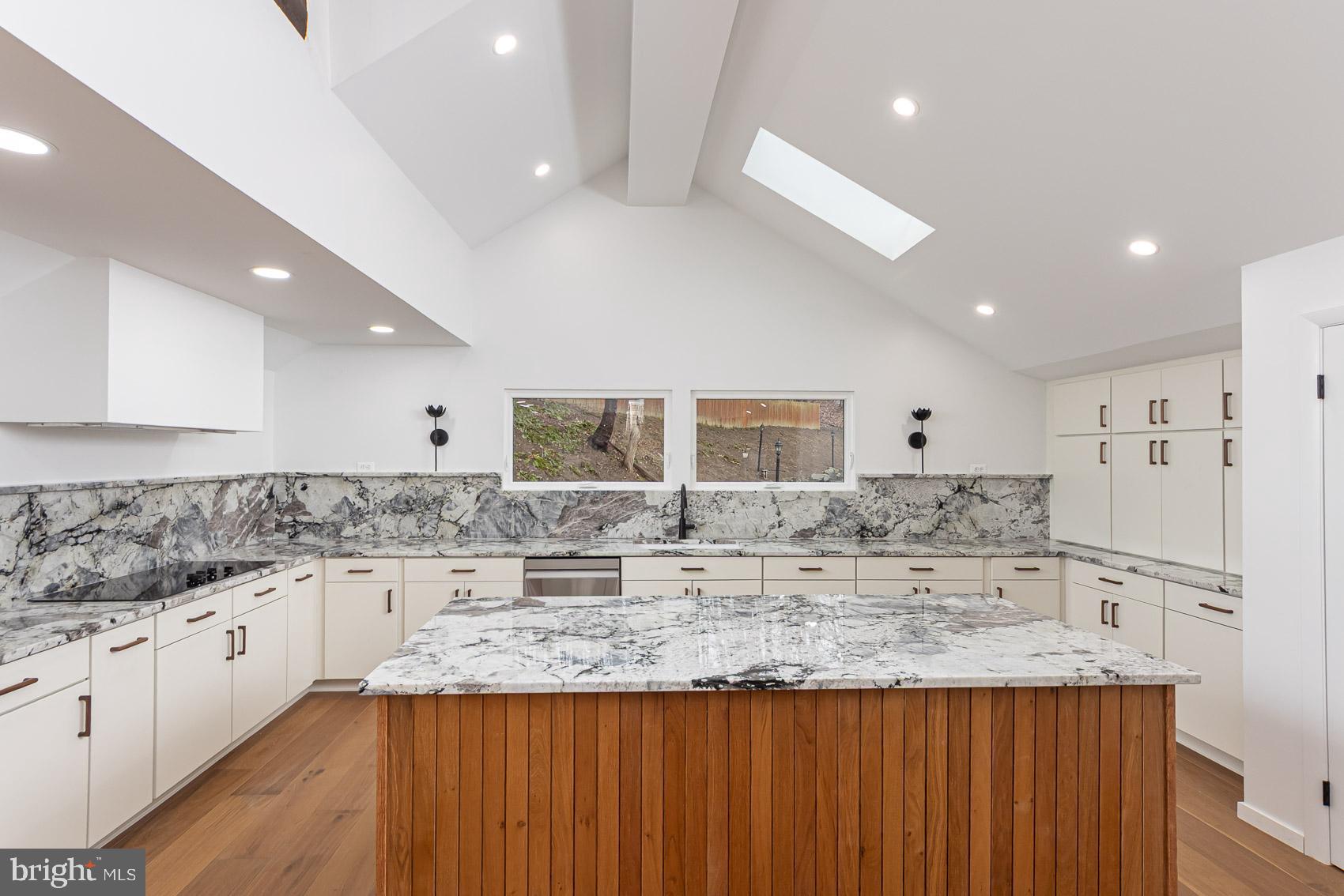 903 Ivy Hill Road Cockeysville, MD 21030 - Photo 15 of 100 Sleek modern kitchen with stunning marble.