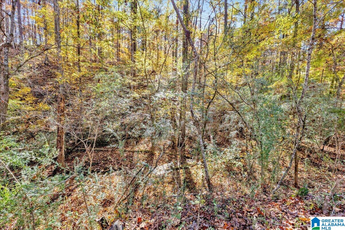 0 Hammock Road Trussville, AL 35173 - Photo 6 of 31