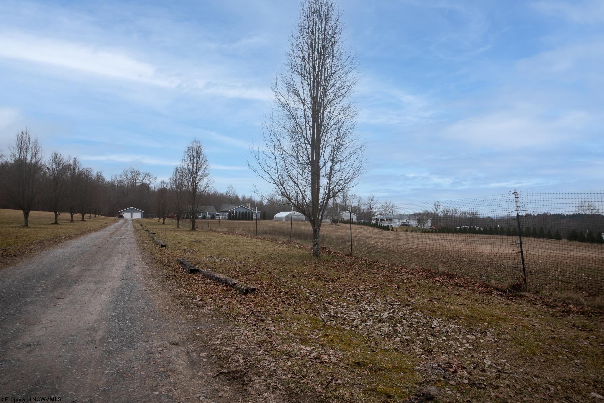 981 Indian Rock Road Reedsville, WV 26547 - Photo 50 of 50 Gallery Image 50