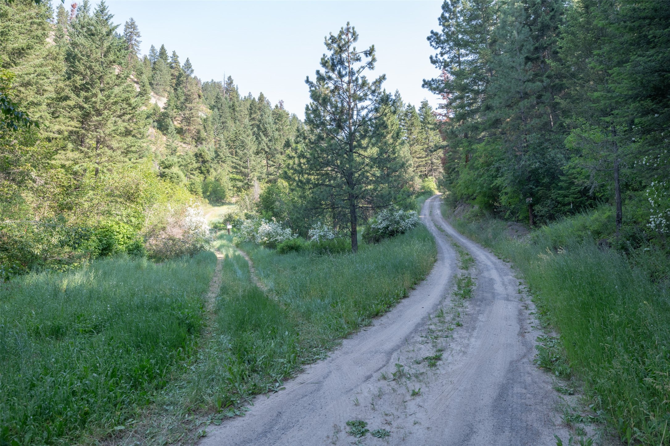 18866 Copper Rdg Trail Florence, MT 59833 - Photo 108 of 139 Gallery Image 108