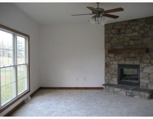 1016 Rowe Road Harrison City, PA 15636 - Photo 9 of 18 Den/Family/Great Room. Family Room with Gas log , Stone faced Fireplace .